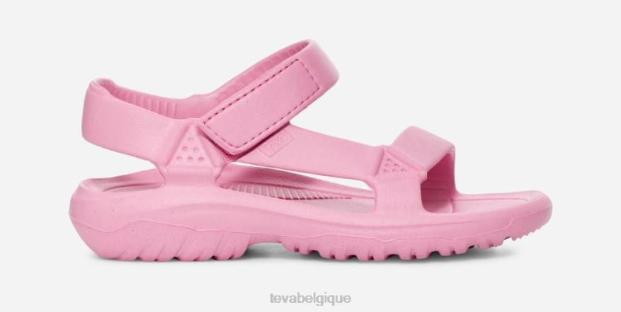 Teva dérive des ouragans pour les petits enfants 4D2N345fleur de rose