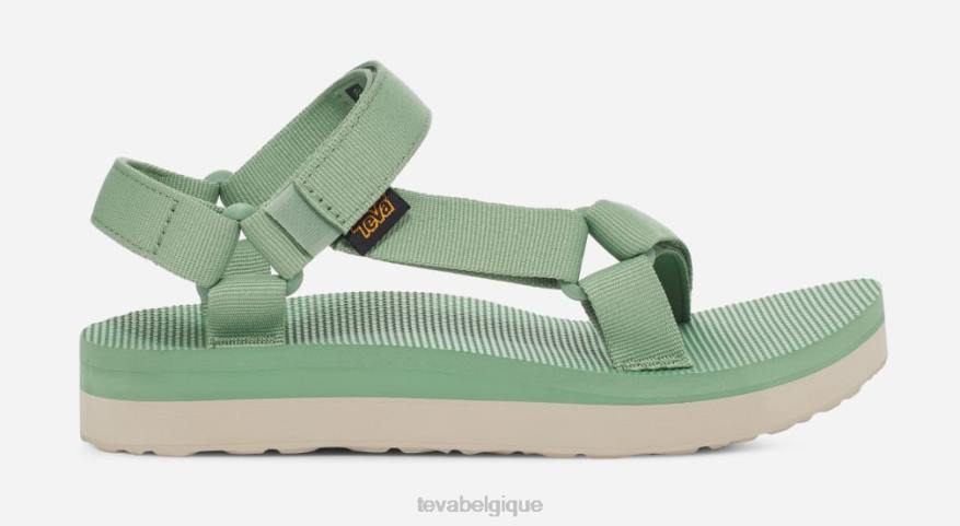 Teva mi-forme universelle pour femme 4D2N28basilic