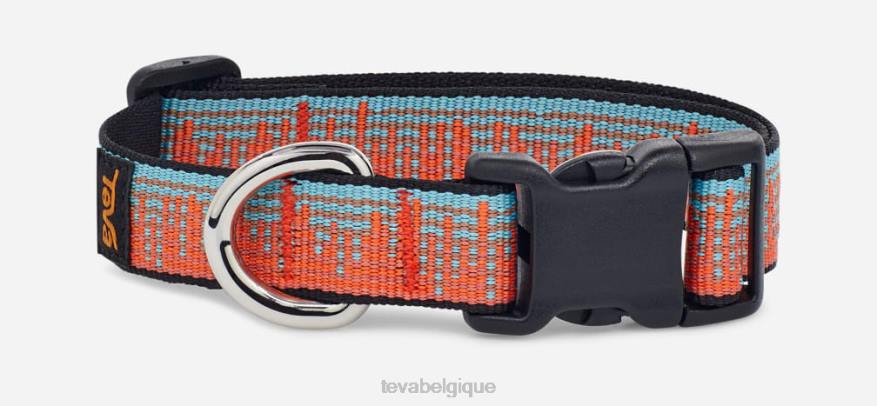 Teva collier de chien unisexe 19mm 4D2N215ambiance carotte/mirage bleu