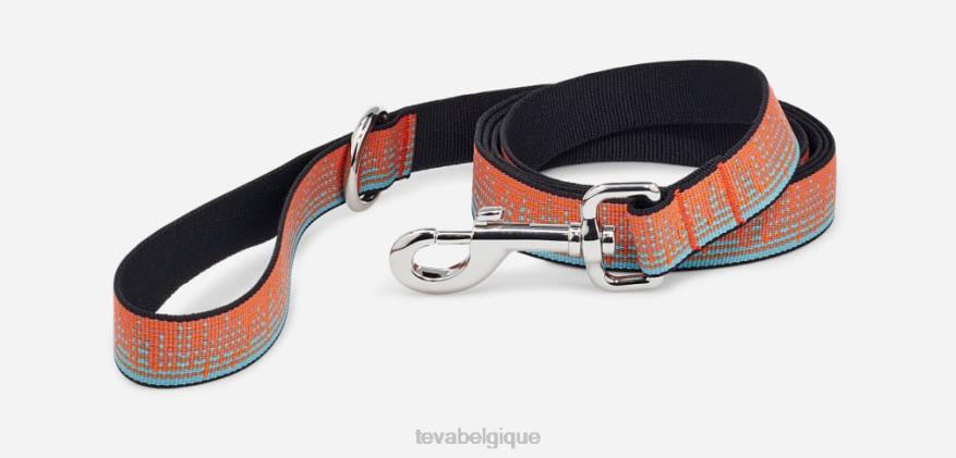 Teva laisse pour chien 25mm 4D2N210ambiance carotte/mirage bleu